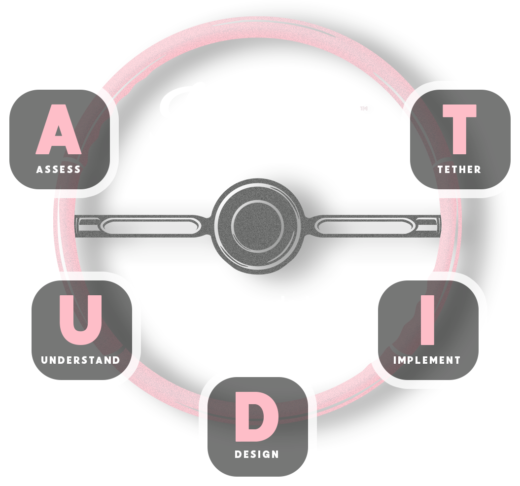 Joy Audit
